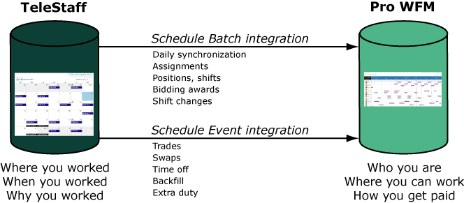 Schedule Export overview